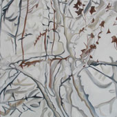 Foto: Schatten 120x120